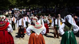 30 aniversario, Homenaje a la Vaca en Santander.