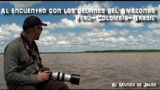 Al encuentro de los delfines del Amazonas