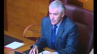 Comparecencia de Perna en la comision Cantur