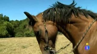 El cntabro Paco en Espaoles en el Mundo (Uruguay)