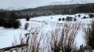 El granizo, tormenta y nieve, protagonistas en Campoo