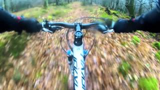 En bici de montaa por los bosques de Cantabria