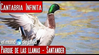 Parque de las Llamas (Santander)