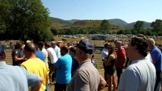 Multitudinaria Feria del Ao en Espinilla