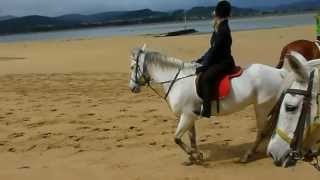 Paseo y galopes a caballo por la playa de Laredo
