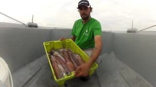 PESCA ARTESANAL DEL CALAMAR II CANTABRIA 2014  ARTISAN FISHING EGING SQUID