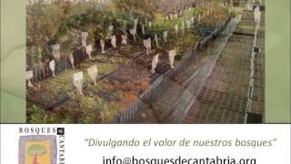 Asociacin Cultural Bosques de Cantabria